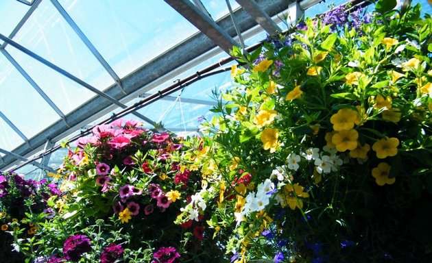 Photo of Green Flora Greenhouses Ltd.