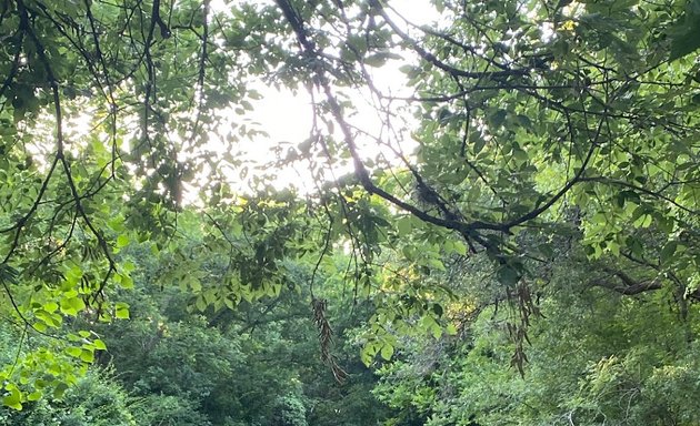 Photo of Slaughter Creek At Twin Oaks Greenbelt