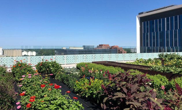 Photo of The Sky Farm At Eskenazi Health