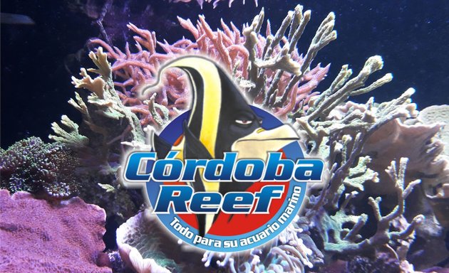 Foto de Cordoba Reef
