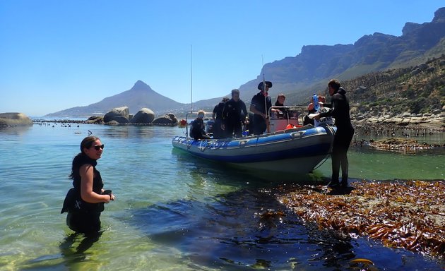 Photo of Into the Blue Scuba Dive Centre Cape Town