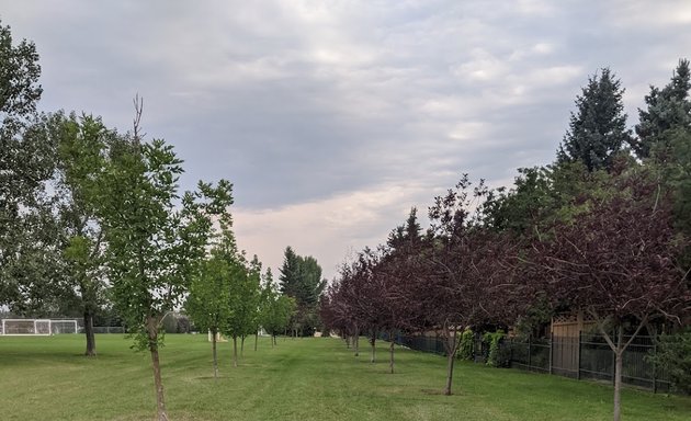 Photo of Christie Park Tennis and Pickleball Courts