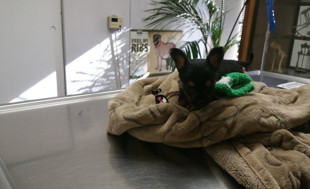 Photo of L.A. Pet Clinic