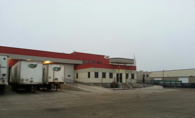 Photo of Mustang Freightways Ltd