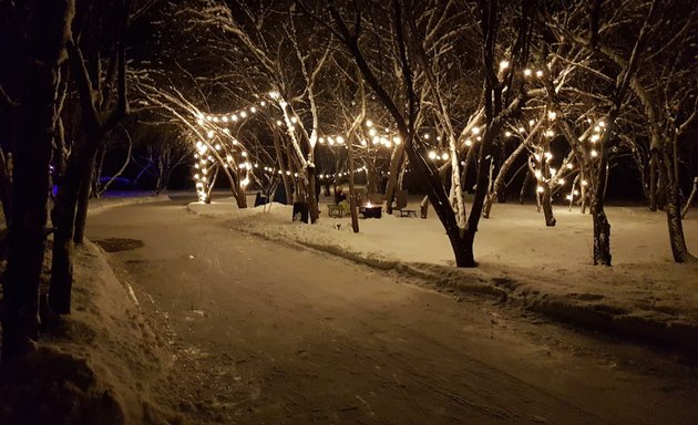 Photo of RiverOak Ice Skating Trail