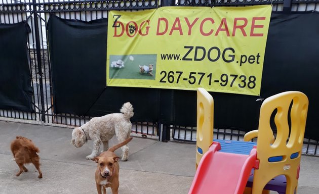 Photo of Z Dog Day Care