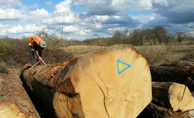 Photo de Alliance Forêts Bois Toulouse