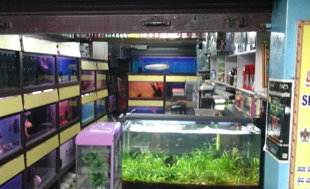 Photo of Gold Land Aquarium