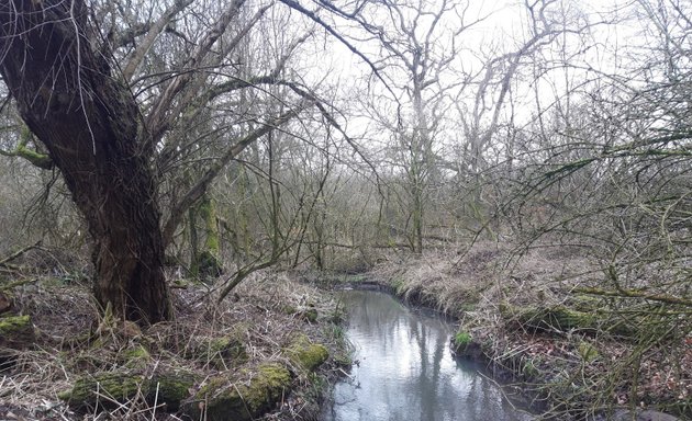 Photo of Abbey Lakes