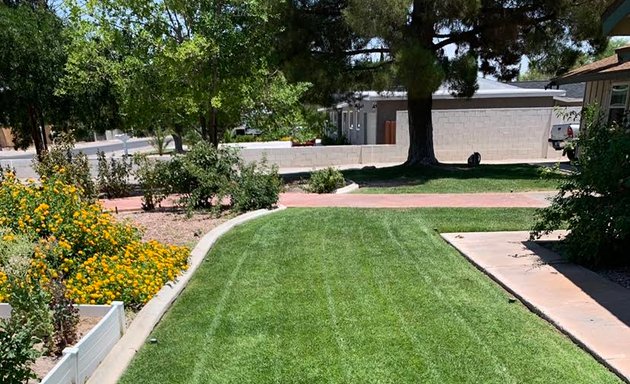 Photo of PALMHILL Landscaping