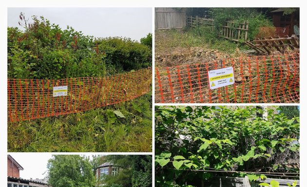 Photo of Inspectas Land Remediation LTD - Japanese Knotweed Specialists