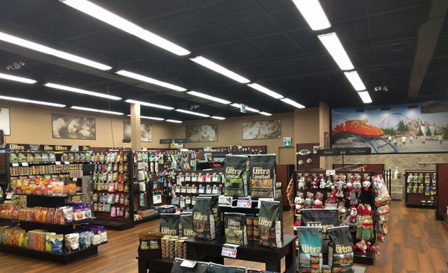 Photo of Pet Valu