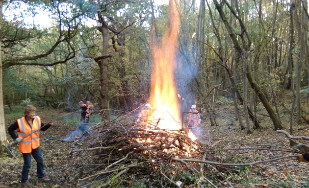 Photo of Scadbury Park Nature Reserve