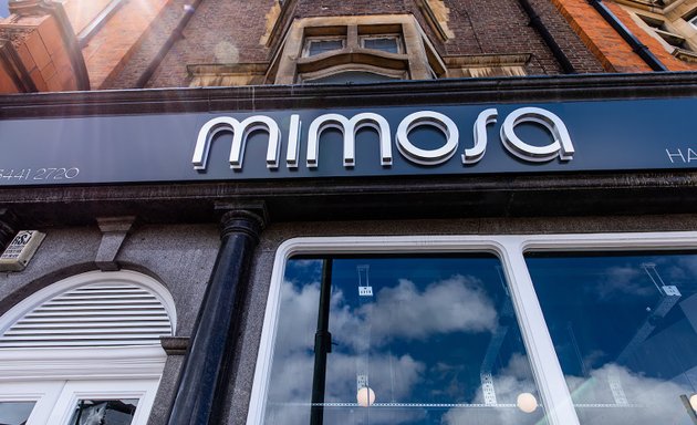 Photo of Mimosa Salon