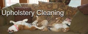 Photo of Bullies Carpet Cleaning