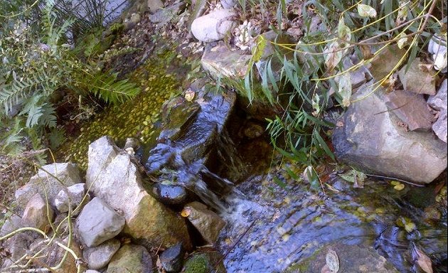 Photo of Reedy Creek Nature Center & Nature Preserve