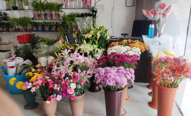 Photo of Tanflorist