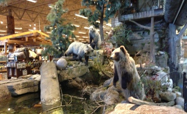 Photo of Bass Pro Shops