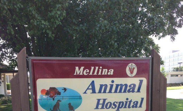 Photo of Mellina Animal Hospital