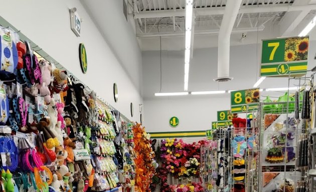 Photo of Dollarama