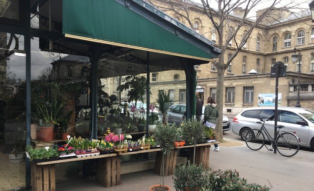 Photo de Marché aux Oiseaux