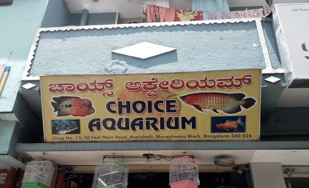 Photo of Choice Aquarium