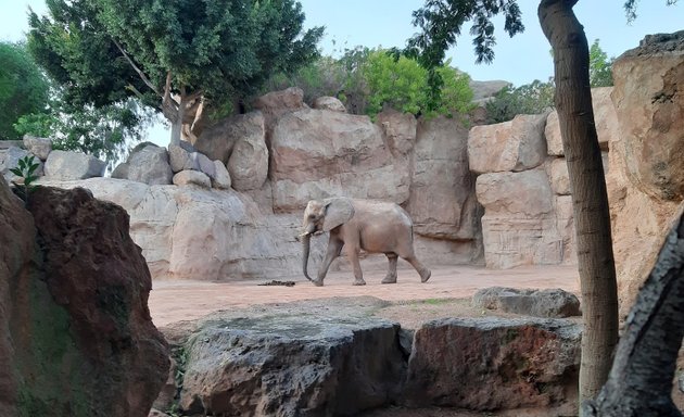 Foto de Zona de elefantes sur