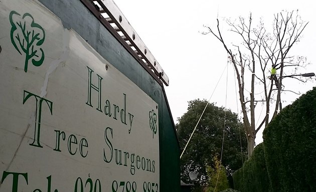 Photo of Hardy Tree Surgeons