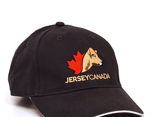 Photo of Jersey Canada