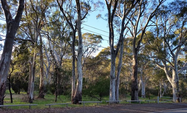 Photo of Wadmore Park (Pulyonna Wirra)