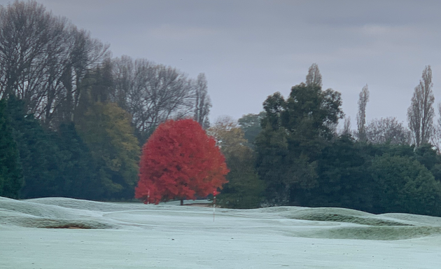 Photo of Brian Green Golf