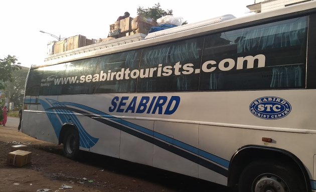 Photo of SeabirdTourist