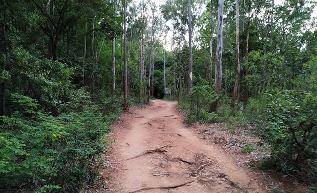 Photo of Arekere Mini Forest