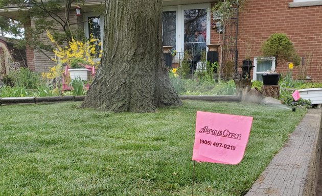 Photo of Always Green Lawn Sprinklers