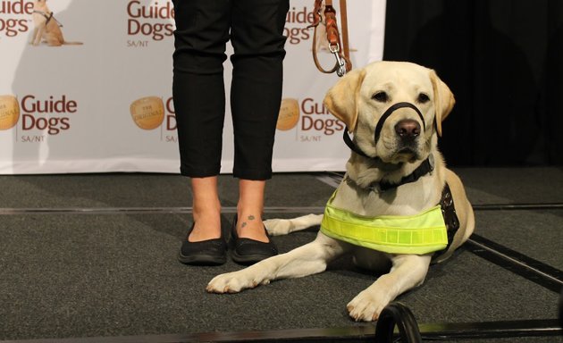 Photo of Guide Dogs SA/NT