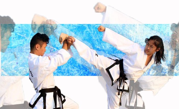 Photo of DSA Royal International Taekwondo