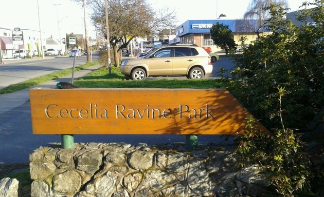 Photo of Cecelia Ravine Park