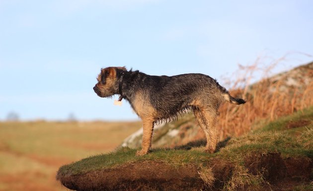 Photo of Take The Lead Pudsey