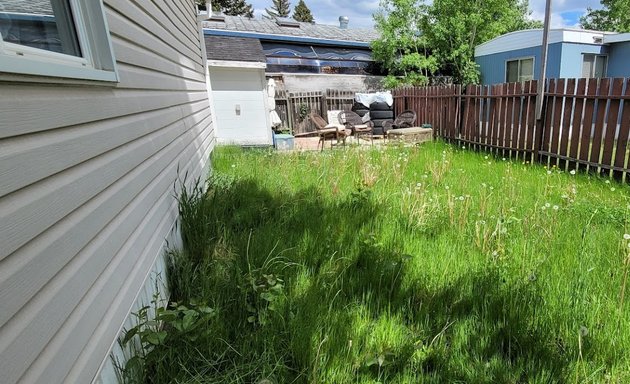 Photo of Madgrass lawn care