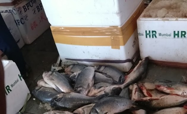 Photo of Wholesale Fish Market