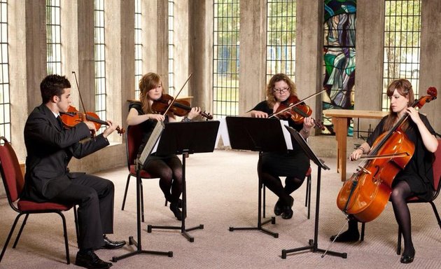 Photo of Vitula String Quartet