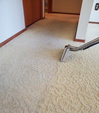 Photo of Special Care Carpet & Upholstery Cleaning