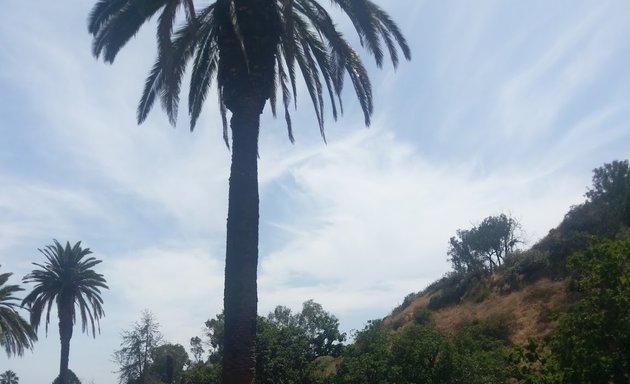 Photo of Runyon Canyon Yoga