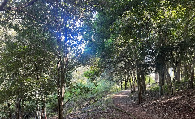 Photo of Mount Ommaney Bushland Reserve