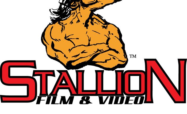 Photo of Stallion Film & Video