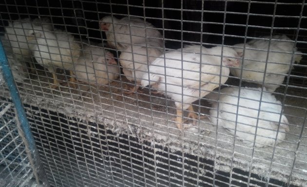 Photo of H.M.S. Chicken Stall