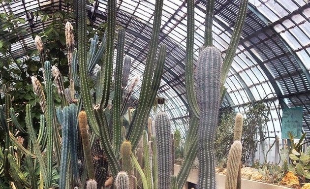 Photo de Jardin des Serres d'Auteuil