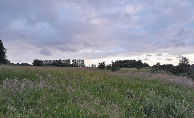 Photo of Haslam Park Primary School