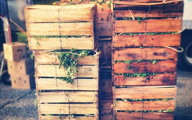 Photo of Bartel-Pritchard Square Greenmarket