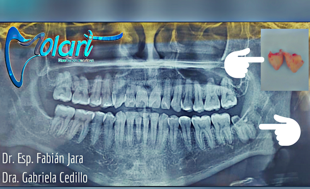 Foto de Molart. Odontología Integral